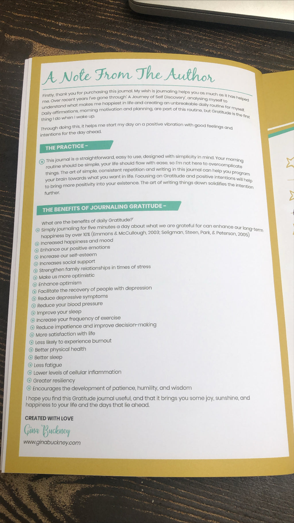 Create Your Own Sunshine: Daily Gratitude Journal